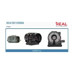 80436100BN REAL