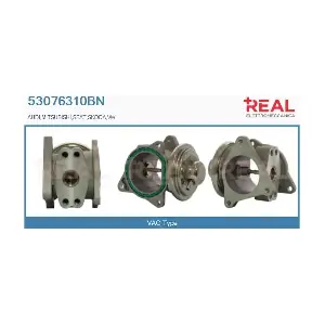 REAL 53076310BN