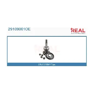 REAL 29109001OE