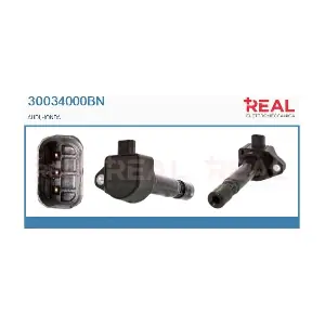 30034000BN REAL