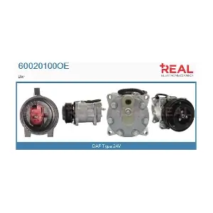 60020100OE REAL
