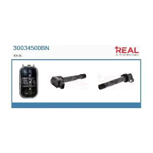 REAL 30034500BN