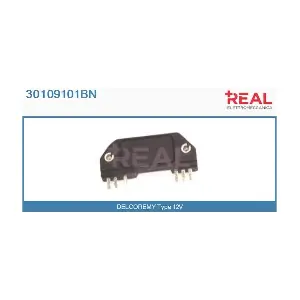 30109101BN REAL