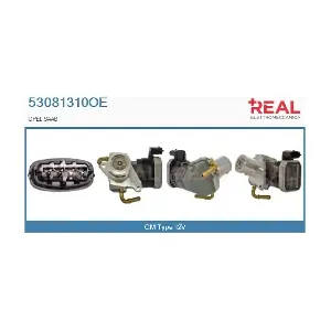 53081310OE REAL