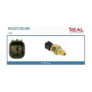 8022370LBN REAL