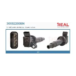 REAL 30082200BN