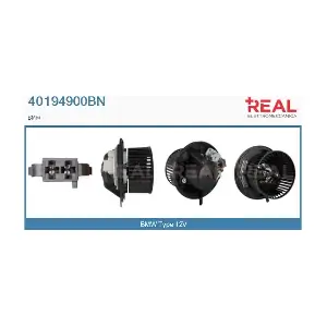 40194900BN REAL