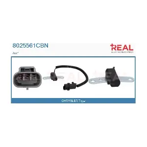 8025561CBN REAL