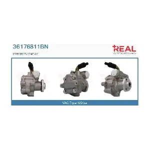 36176811BN REAL