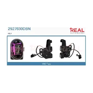 2927630DBN REAL