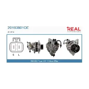 20193801OE REAL