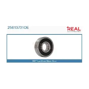 25613731OE REAL