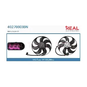 40276603BN REAL