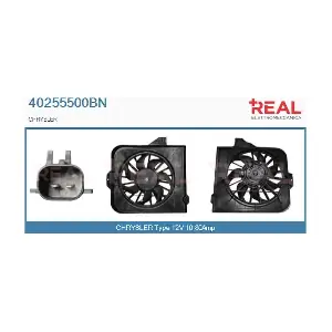 40255500BN REAL