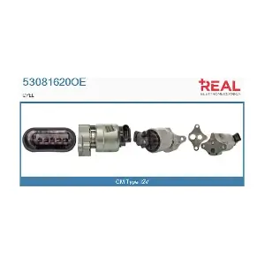 REAL 53081620OE
