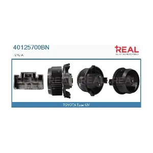 40125700BN REAL