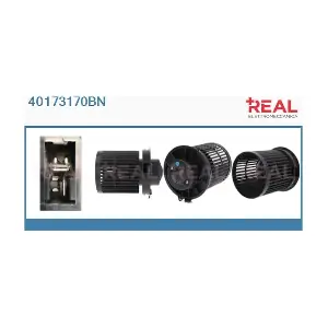 40173170BN REAL