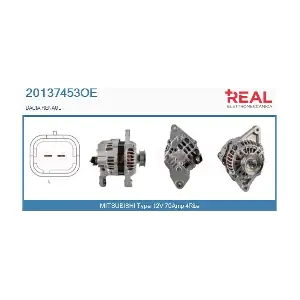20137453OE REAL