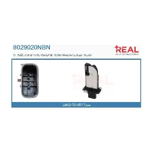 REAL 8029020NBN