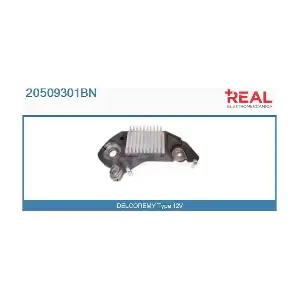 REAL 20509301BN