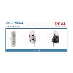 2922750BOE REAL