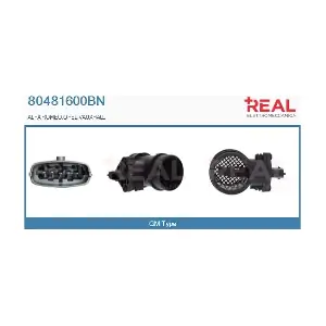 REAL 80481600BN