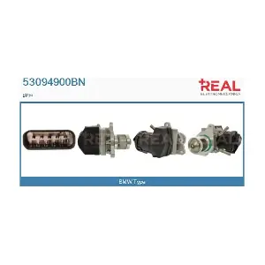 53094900BN REAL
