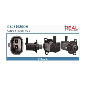 53281620OE REAL