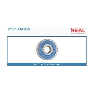 25613341BN REAL