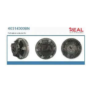 40314300BN REAL