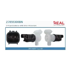 27855300BN REAL
