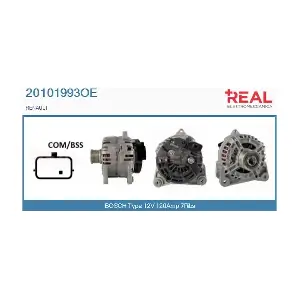 REAL 20101993OE