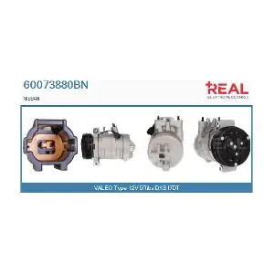 60073880BN REAL