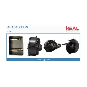 40181300BN REAL