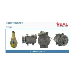 60002010OE REAL