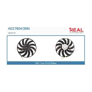 REAL 40276043BN