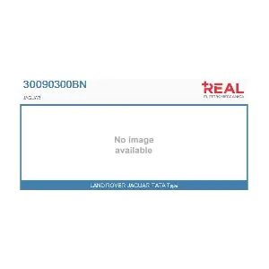30090300BN REAL