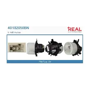 40182050BN REAL