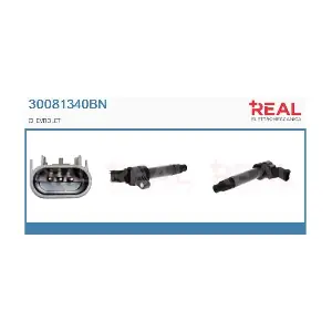 30081340BN REAL