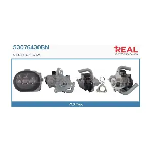 REAL 53076430BN