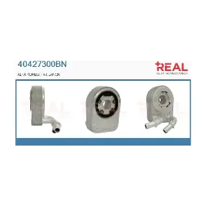 REAL 40427300BN