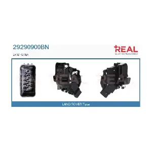 29290900BN REAL