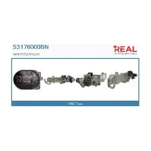 REAL 53176000BN