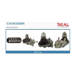 REAL 53094300BN