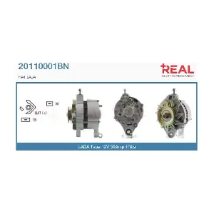 REAL 20110001BN