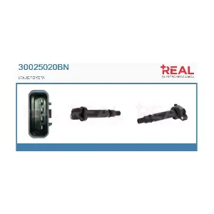 REAL 30025020BN