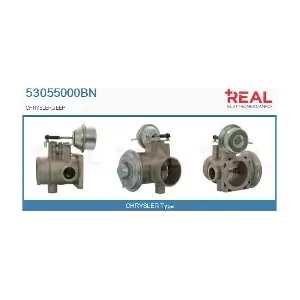 53055000BN REAL