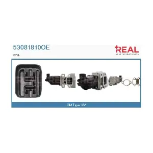 53081810OE REAL