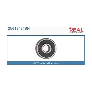 25613431BN REAL