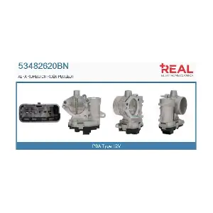 REAL 53482620BN